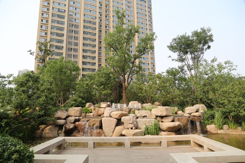 項目實(shí)景(五)